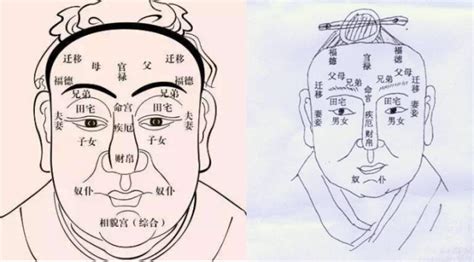 頭型有角面相|陳士文師傅宮正堂專頁